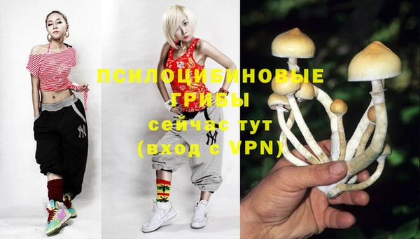 каннабис Алексеевка