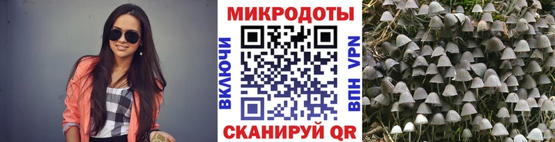где купить наркоту  Грайворон  Псилоцибиновые грибы ЛСД 