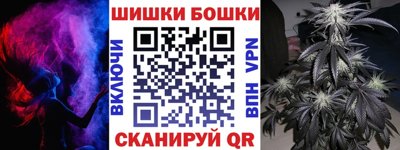 Конопля гибрид  Грайворон 